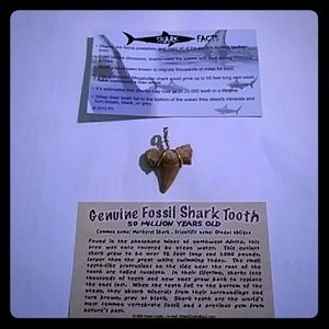 14k, Genuine Fossil Shark Tooth Pendant